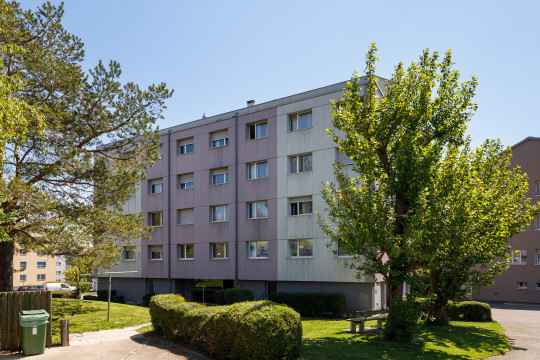 image Chemin de Plamont 5